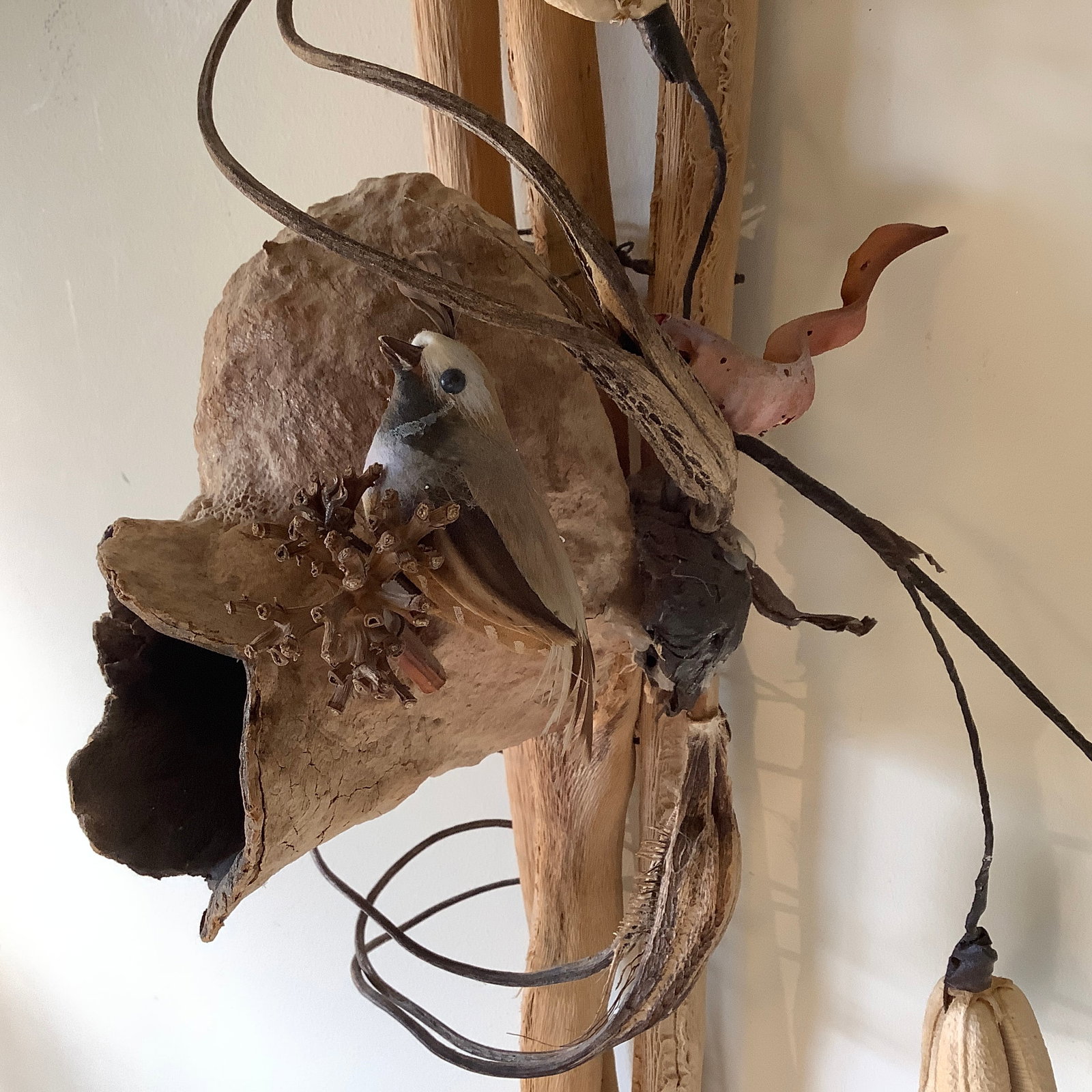 Natural Art-Bird with Bird Nest on Driftwood Mount with Dried Flowers: Natural Art-Bird with Bird Nest on Driftwood Mount with Dried Flowers