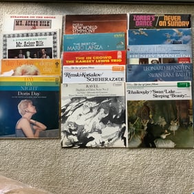 14 Vintage Vinyl Albums