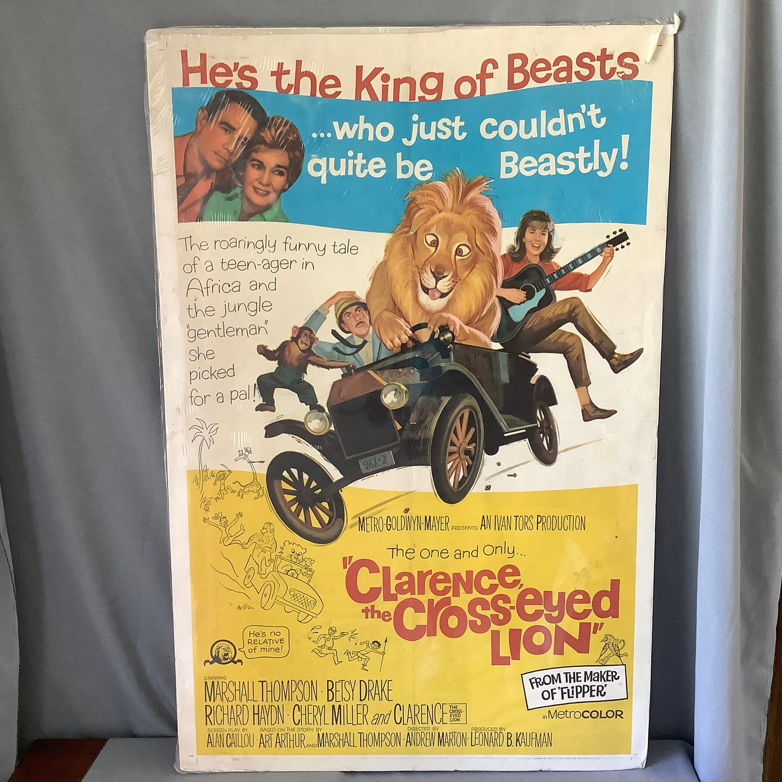 MGM Official 1965 Movie Poster of "Clarence the Cross-Eyed Lion": From bottom margin "Property of National Screen Service Corp-Licensed for Display Only In Connection With Exhibition of This Picture At Your Theatre. MUST BE RETURNED IMMEDIATELY THEREAFTER 65/104 Pos