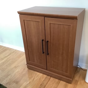 Composite Media Storage Cabinet