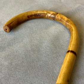 Bamboo Cane Walking Stick