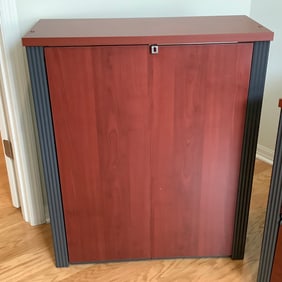 Office Storage Cabinet with 2 Doors, 2 Shelves