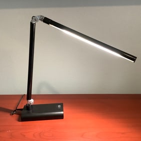 Adjustable 2 Way LED Desk Light
