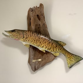 Signed Hand Carved Fish By Dave Kober, "Musky" Mounted to Driftwood