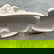 item-207750864=8