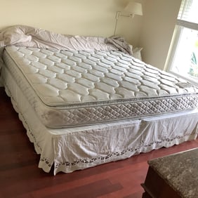 Spring Air Back Supporter 65th Anniversary Limited Edition Pillowtop King Mattress and Box Springs