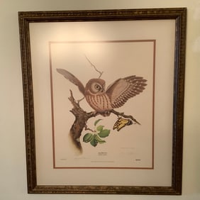 Jim Oliver Signed Limited Edition Framed Lithograph "Saw-Whet Owl"