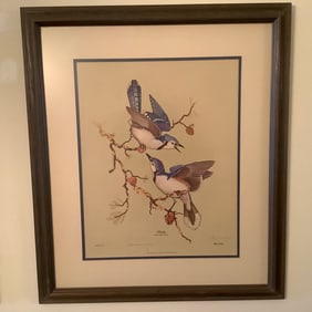 Jim Oliver Signed Limited Edition Framed Lithograph "Blue Jays"