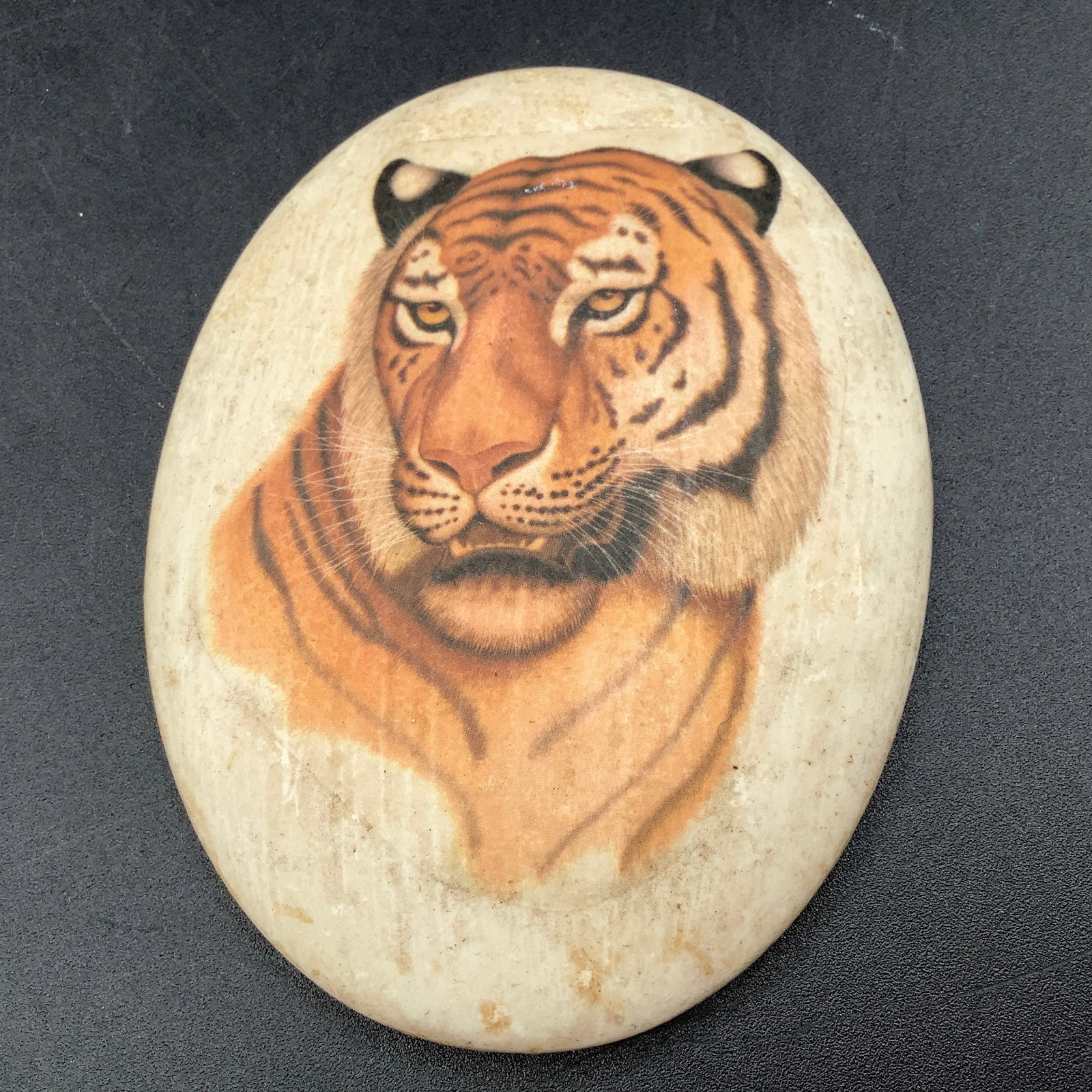 Cast Resin Decoupage Tiger Paperweight: Has hangar on back to hang on wall or use as paperweight