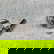 item-210211462=10