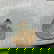 item-210211462=16