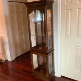 Contemporary Lighted Curio Cabinet