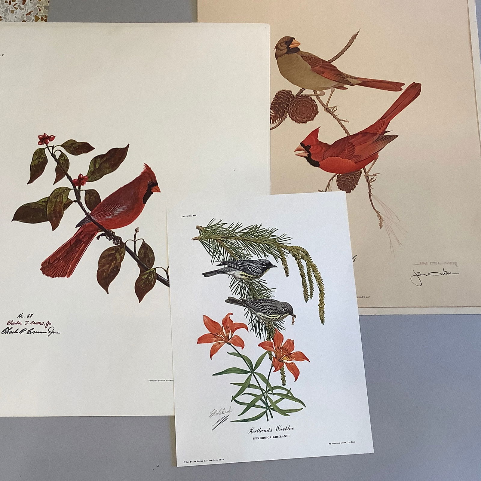 3 Signed Lithographs of Birds by Charles Crums, Guy Coheleach, and Jim Oliver: Warbler by Guy Coheleach (10 x 14), Cardinal by Jim Oliver (16 x 20), Crums (17 x 22)