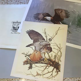 Pair of Signed Limited Edition Lithographs, Unframed by Jim Oliver. Bald Eagle and Red-tailed Hawk