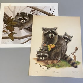 Pair of Limited Edition Lithographs of Racoons by Jim Oliver