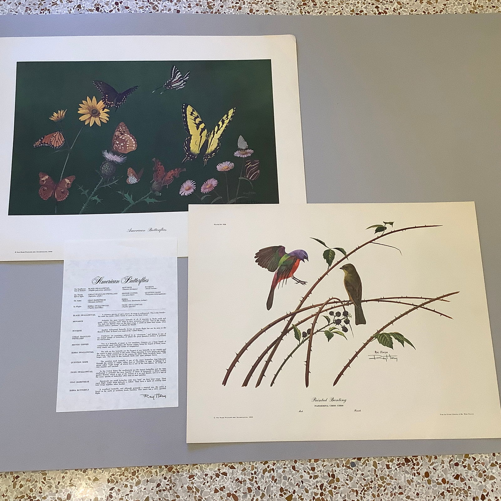 Pair of Signed Limited Edition Lithographs by Ray Harm, Birds and Butterflies, 1960s (1 of 19)