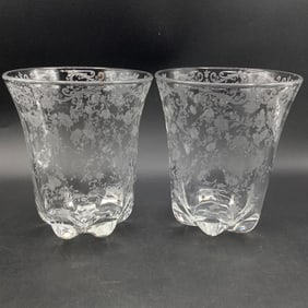 Large Etched Glass Pair of Vases
