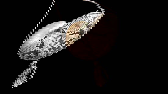 Exotic Python Chamber Nautilus Evening Bag: OOAK Exotic python chamber Nautilus evening bag by Mille Fiori c 1970. The organic shell is covered partially with python skin with the lustrous shell exposed at the top. The chamber Nautilus shell ha