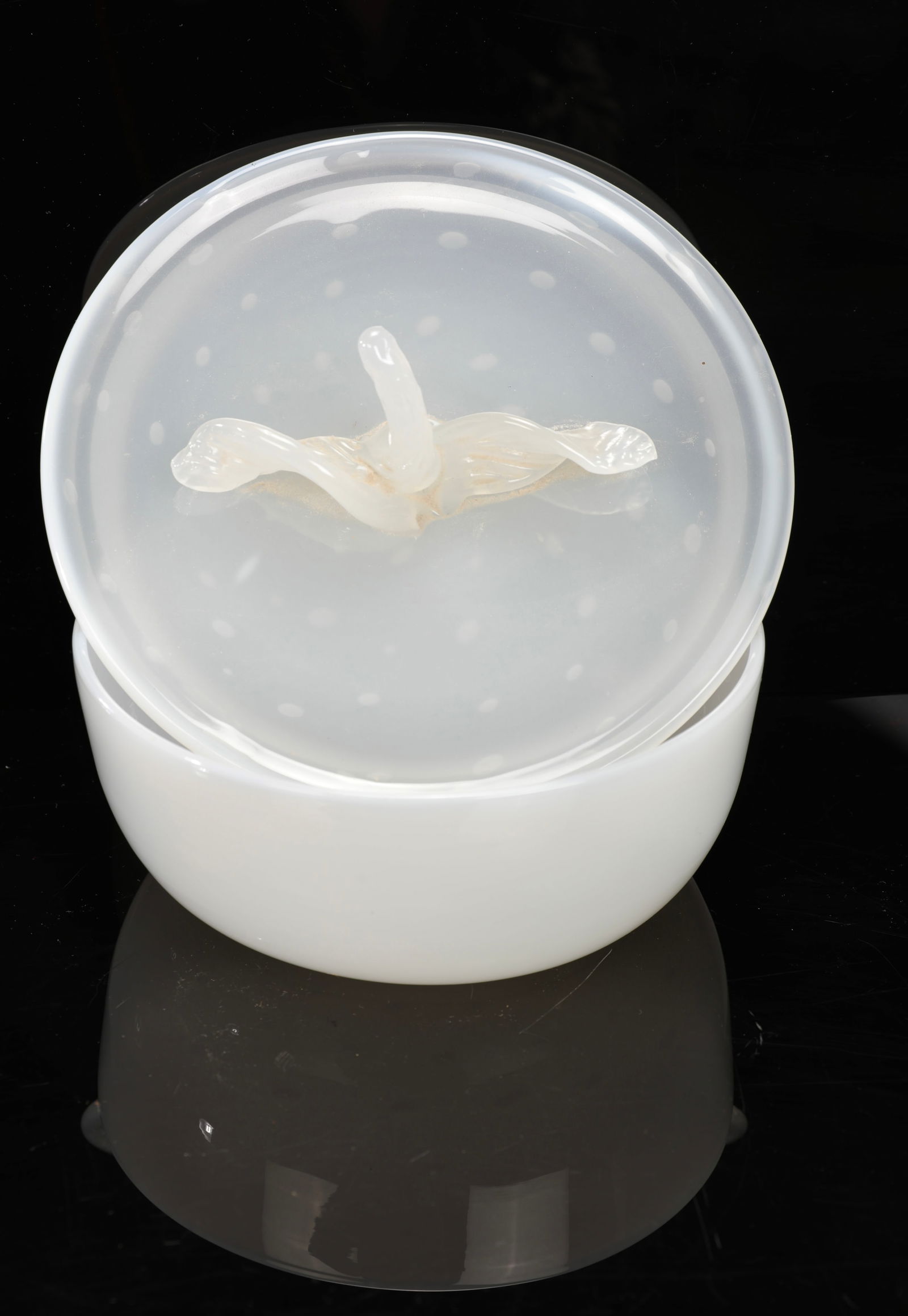 MURANO OPALINE GLASS BOWL W/ FRUIT FORM LID (1 of 6)