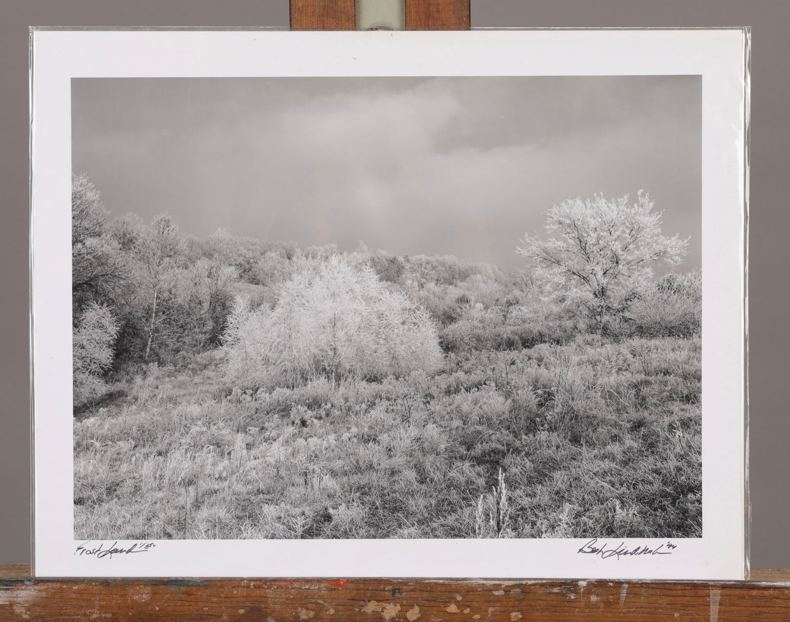 ROBERT LINDHOLM ART PHOTOGRAPH "FROST LAND" SIGNED (1 of 5)