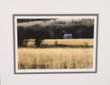 SL SIGNED ART PHOTOGRAPH 4/250