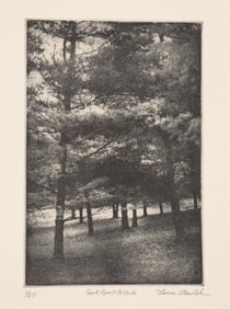THOMAS J. NORULAK "COOK FOREST HILL" ENGRAVING PENCIL SIGNED 1/25