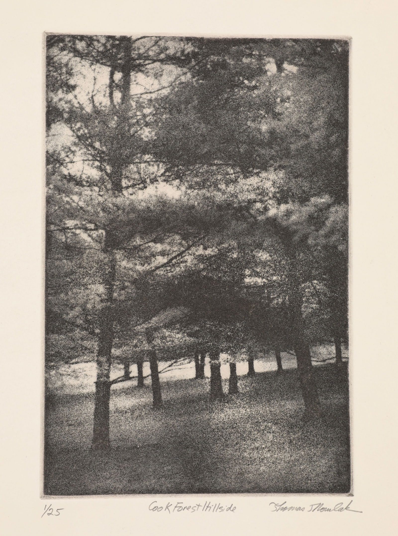 THOMAS J. NORULAK "COOK FOREST HILL" ENGRAVING PENCIL SIGNED 1/25 (1 of 6)