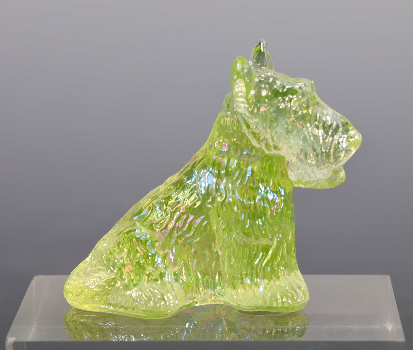 BOYD VASELINE ART GLASS SEATED SCOTTIE DOG FIGURINE: A Boyd Vaseline glass seated scottie dog figurine. It glows under a UV light due to the uranium content in the glass. Measures: 2"H x 2.5"W INV#- Yellow 43