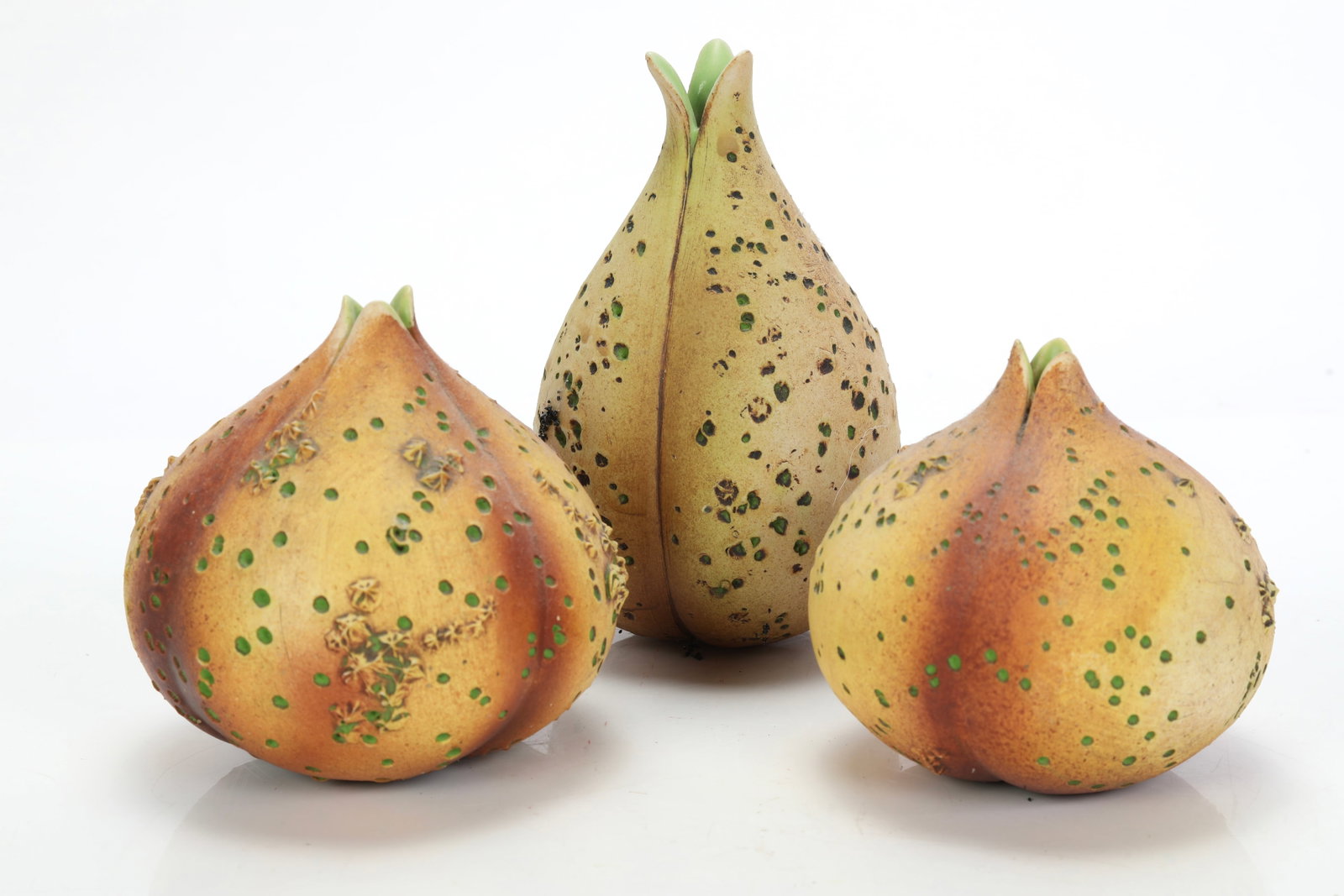 ANDY ROGERS TRIO OF SPOTTED BOTANICAL CERAMIC ART POTTERY SCULPTURES (1 of 9)
