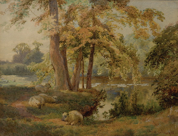 Charles Collins (Flourished 1867-1903) Sheep restin
