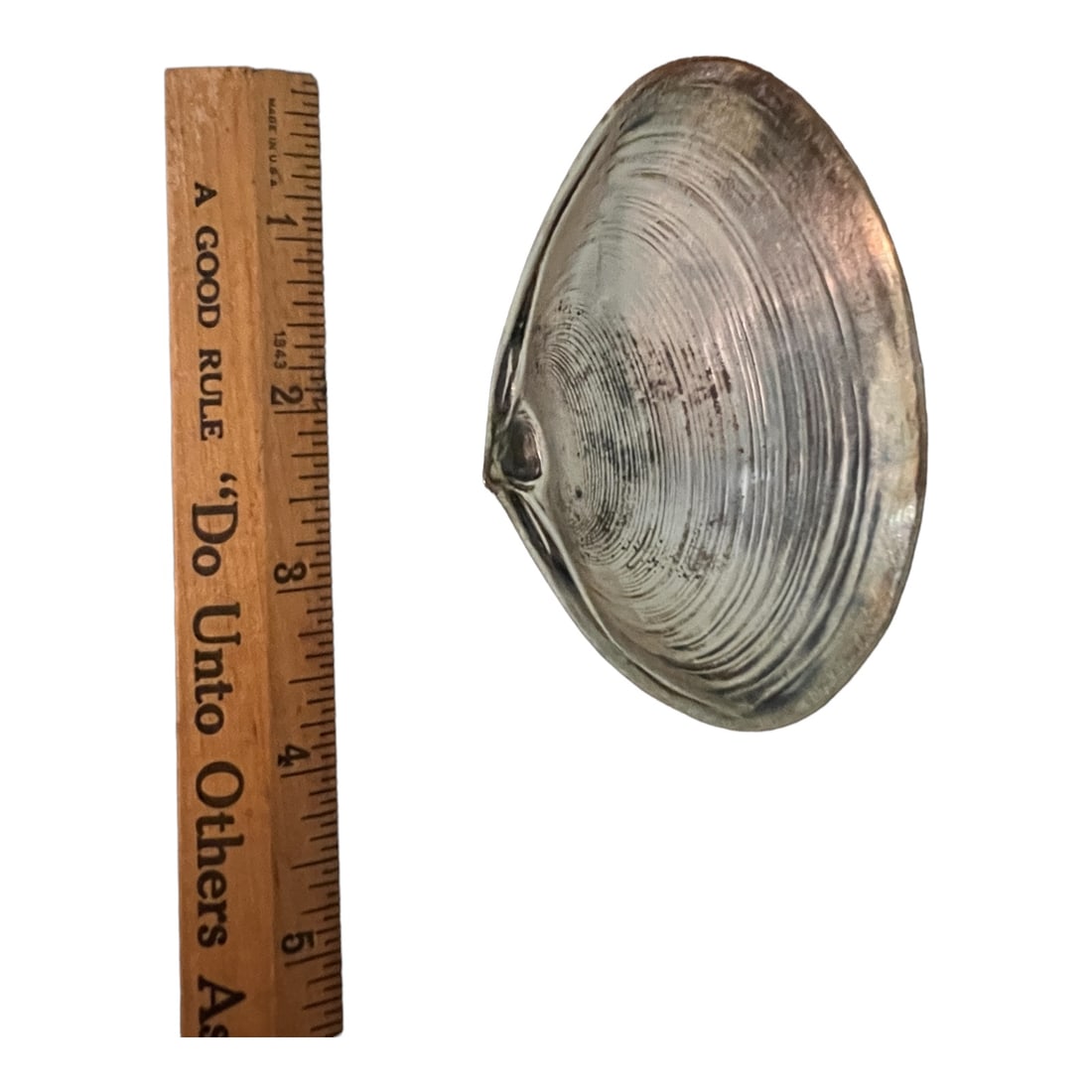 Naturalistic Wallace Sterling Silver Oyster Shell Footed Dish (1 of 7)