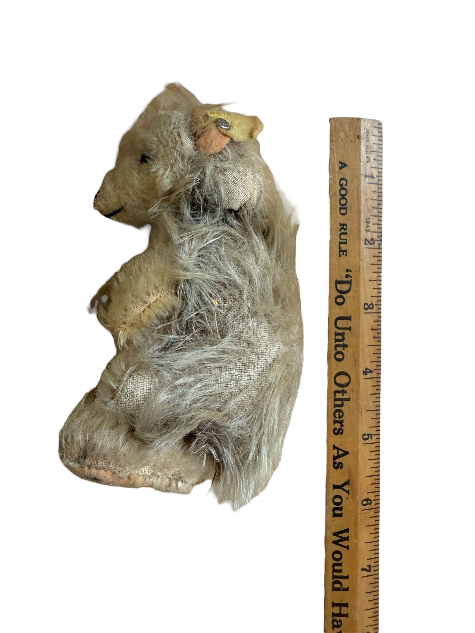 Vintage German Steiff Mohair Begging Joggi Hedgehog Stuffed Animal: From an upstate, NY estate collection. German Steiff mohair vintage "Begging Joggi Hedgehog" stuffed animal. Faded fabric tag and button present. Glass eyes. Measures approx 5" tall.