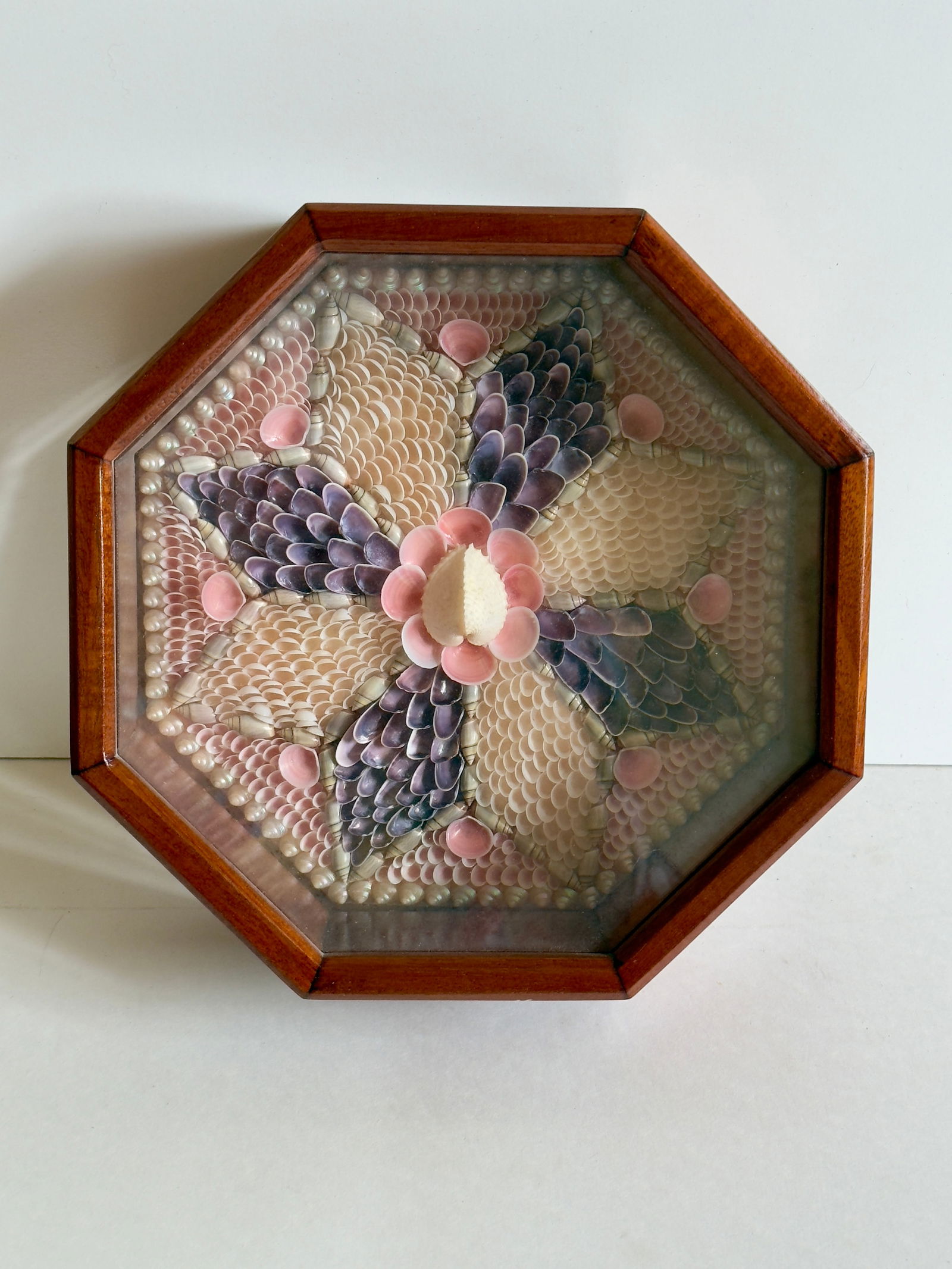 Folk Art Hexagonal Shell Art Sailor's Valentine Exotic Wood Shadow Box (1 of 15)