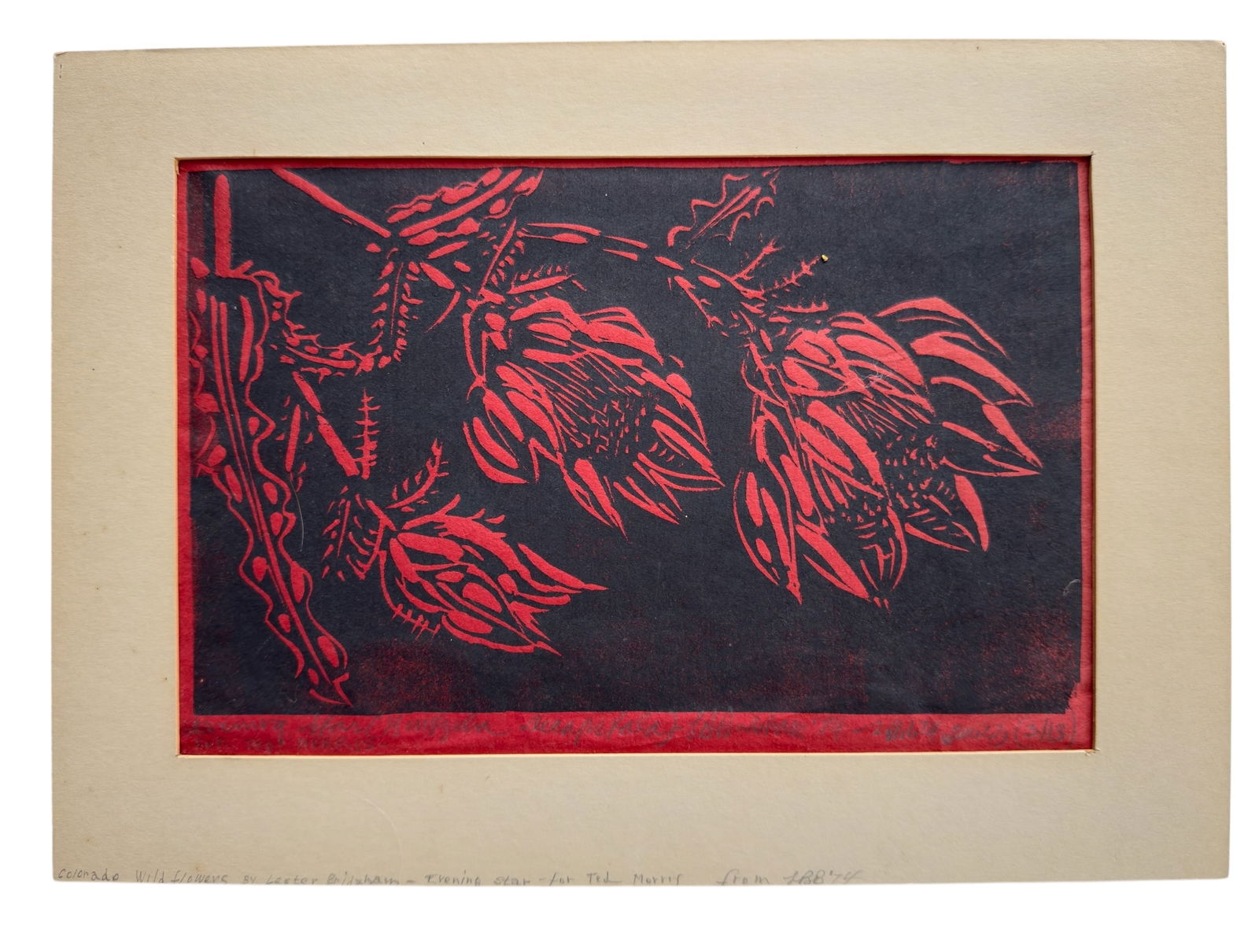 Lester Burbank Bridsham Origninal Block Print Colorado Wildflowers (1 of 6)