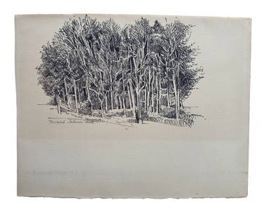 Original Pen Drawing by H. Peter Kahn Signed, Toward Salmon Creek: From an Ithaca, NY estate collection. Original pen / ink drawing of a forest landscape by Hans Peter Kahn (American,1921 – 1997) Signed within drawing and dated 1989 in pen. Titled in pencil. Unfram