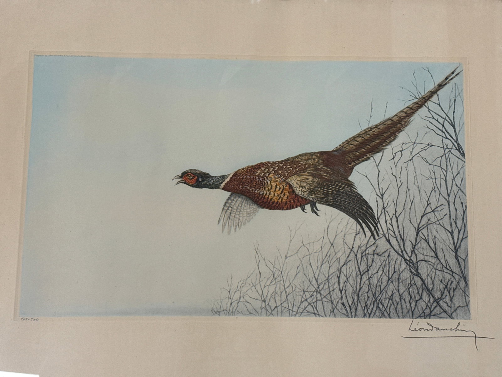 Hand Colored Etching Pheasant in Flight, Leon Danchin - 3