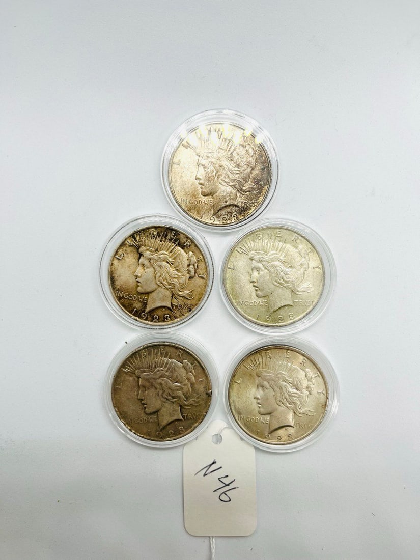 SILVER ONE DOLLER United States of America Liberty coins: 5 ladies liberty one dollar siver 1923