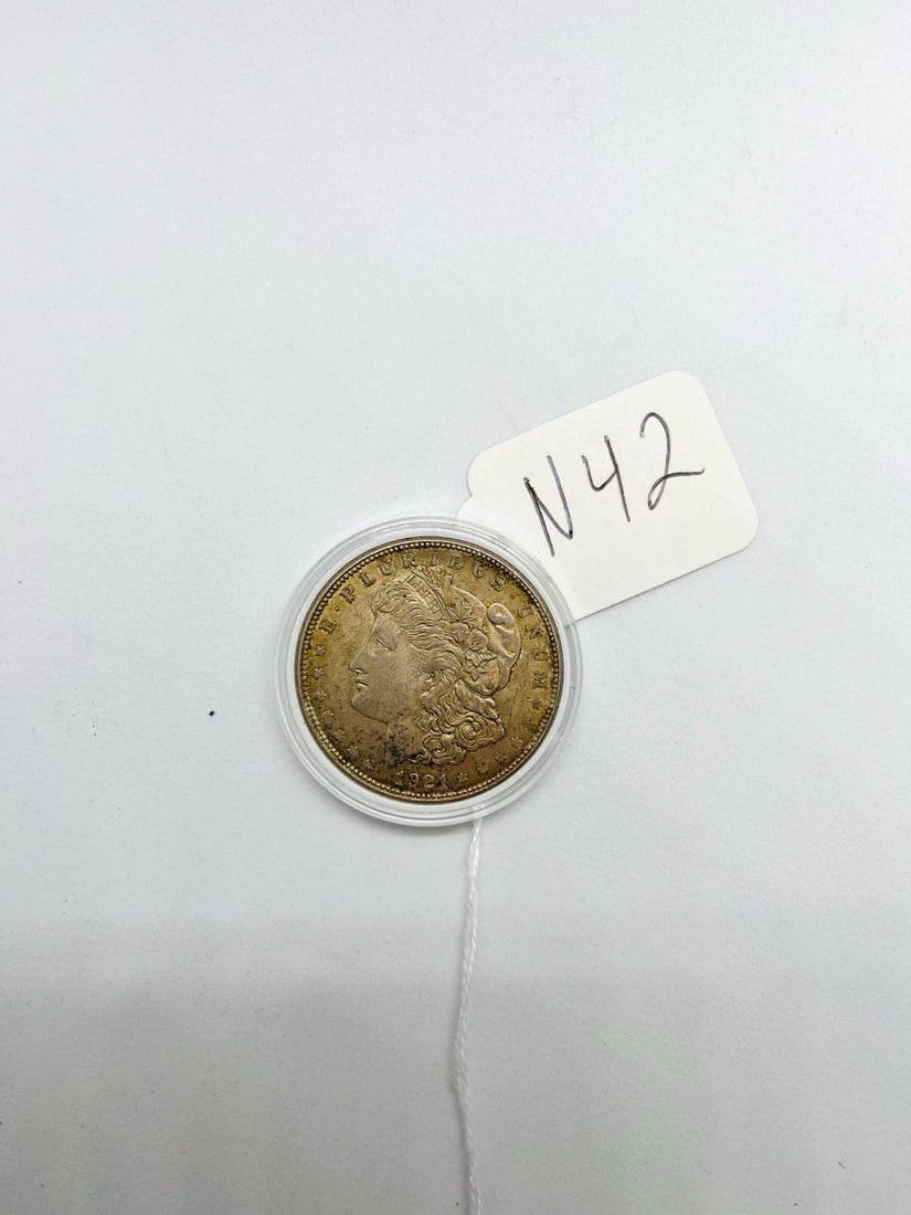 SILVER ONE DOLLER United States of America Liberty coin: lady liberty one dollar siver 1921