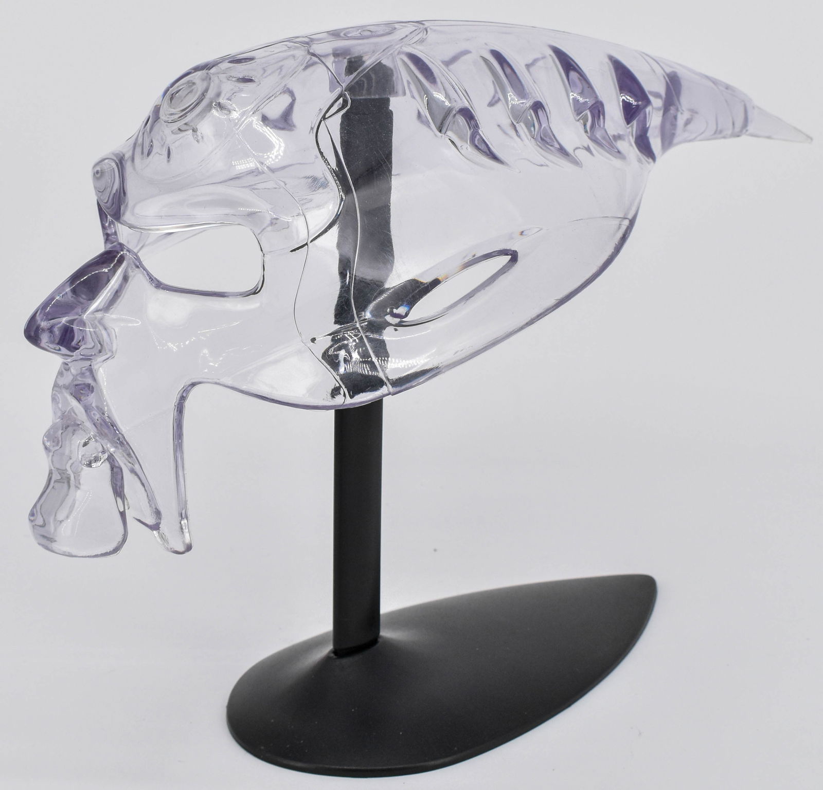 Oakley Spike Alien Bob Sunglasses Display Head With Stand, Clear