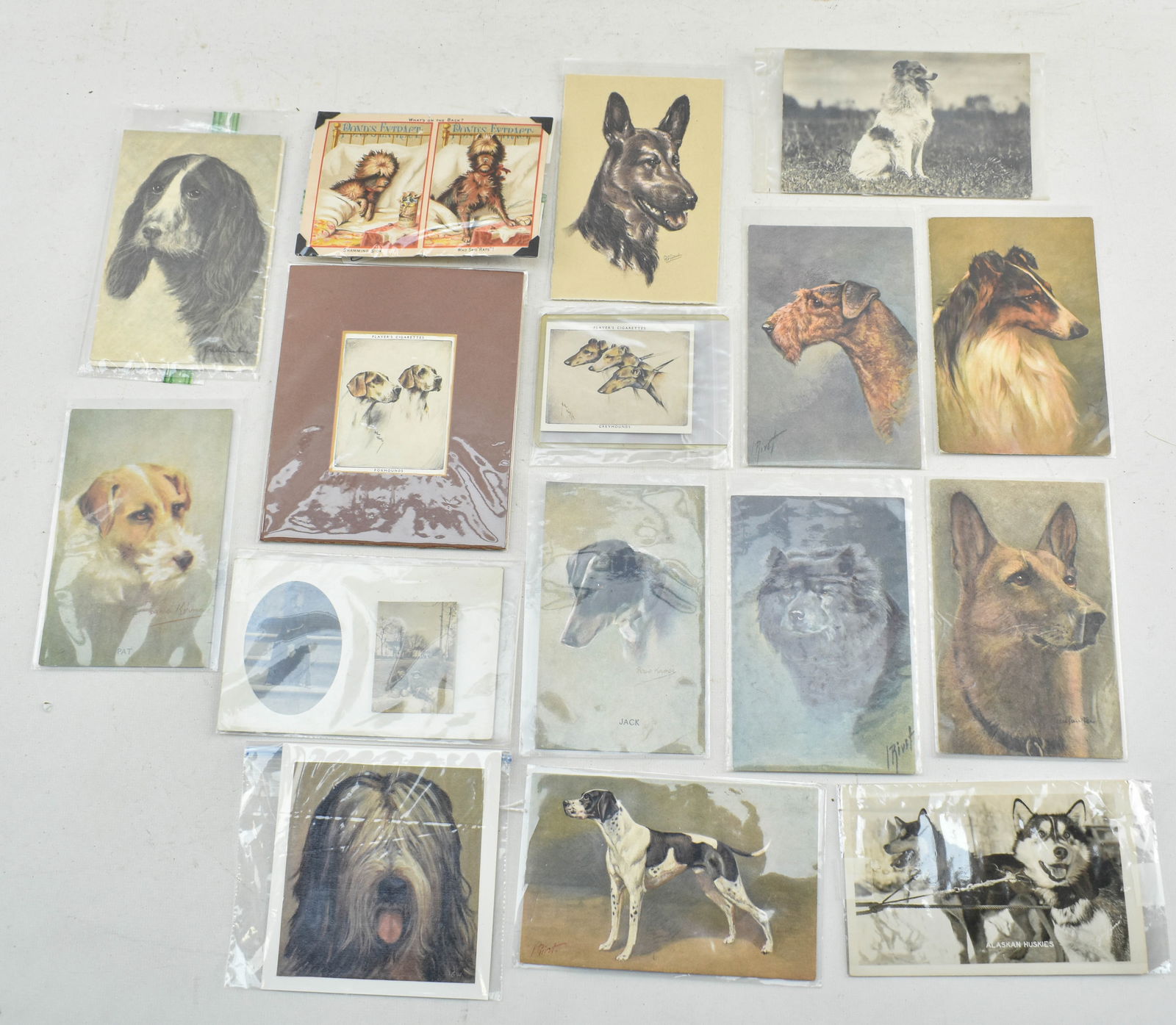 Group of Vintage Dog Postcards, Cards, & Ephemera (1 of 12)