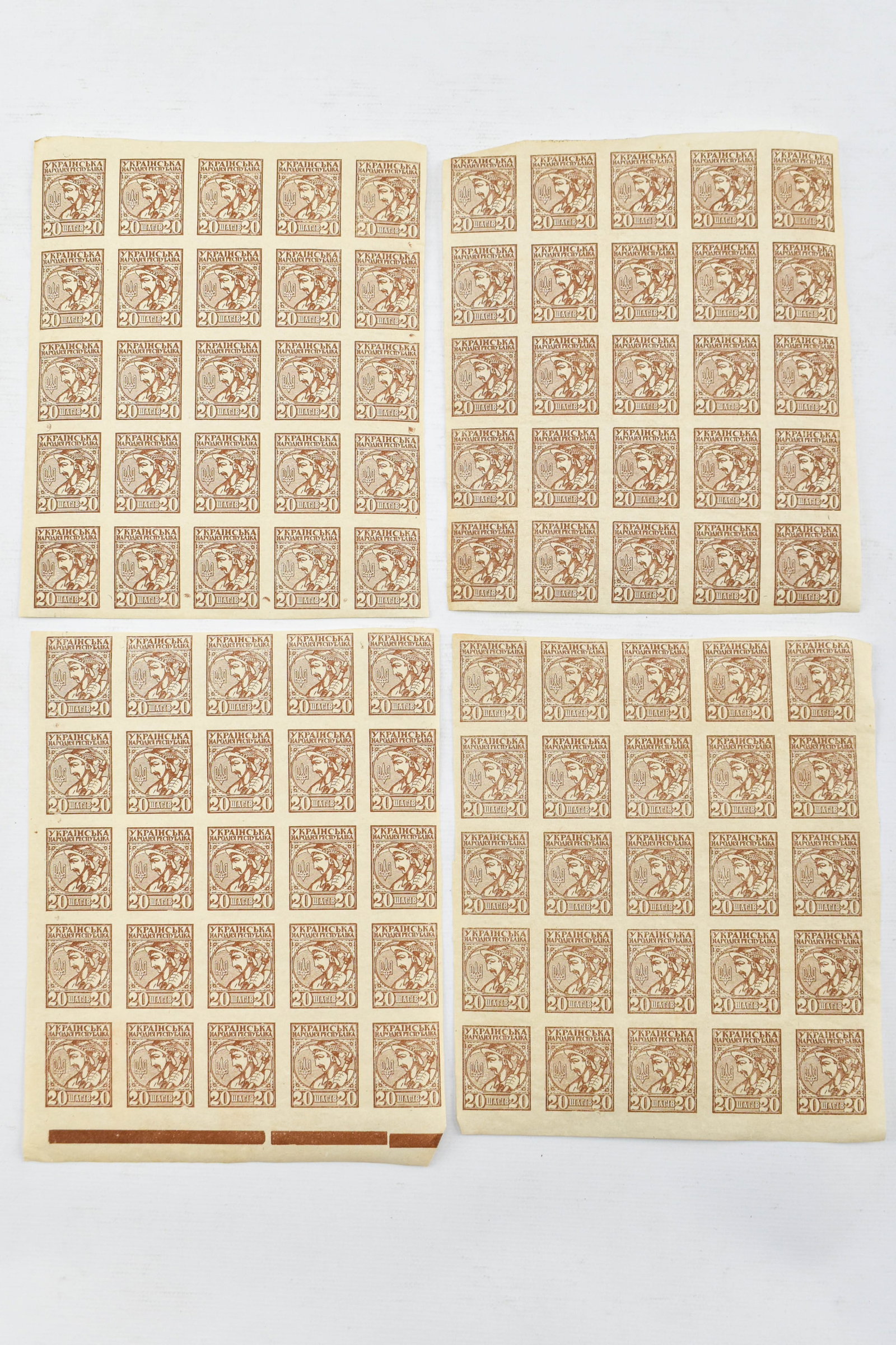 1918 Ukraine People's Republic Peasant 20Sch Imperforate Stamp Blocks: Lot includes 4 blocks of 5 stamps by 5 stamps. Does not appear that all blocks are from the same sheet. All stamps sold as is.