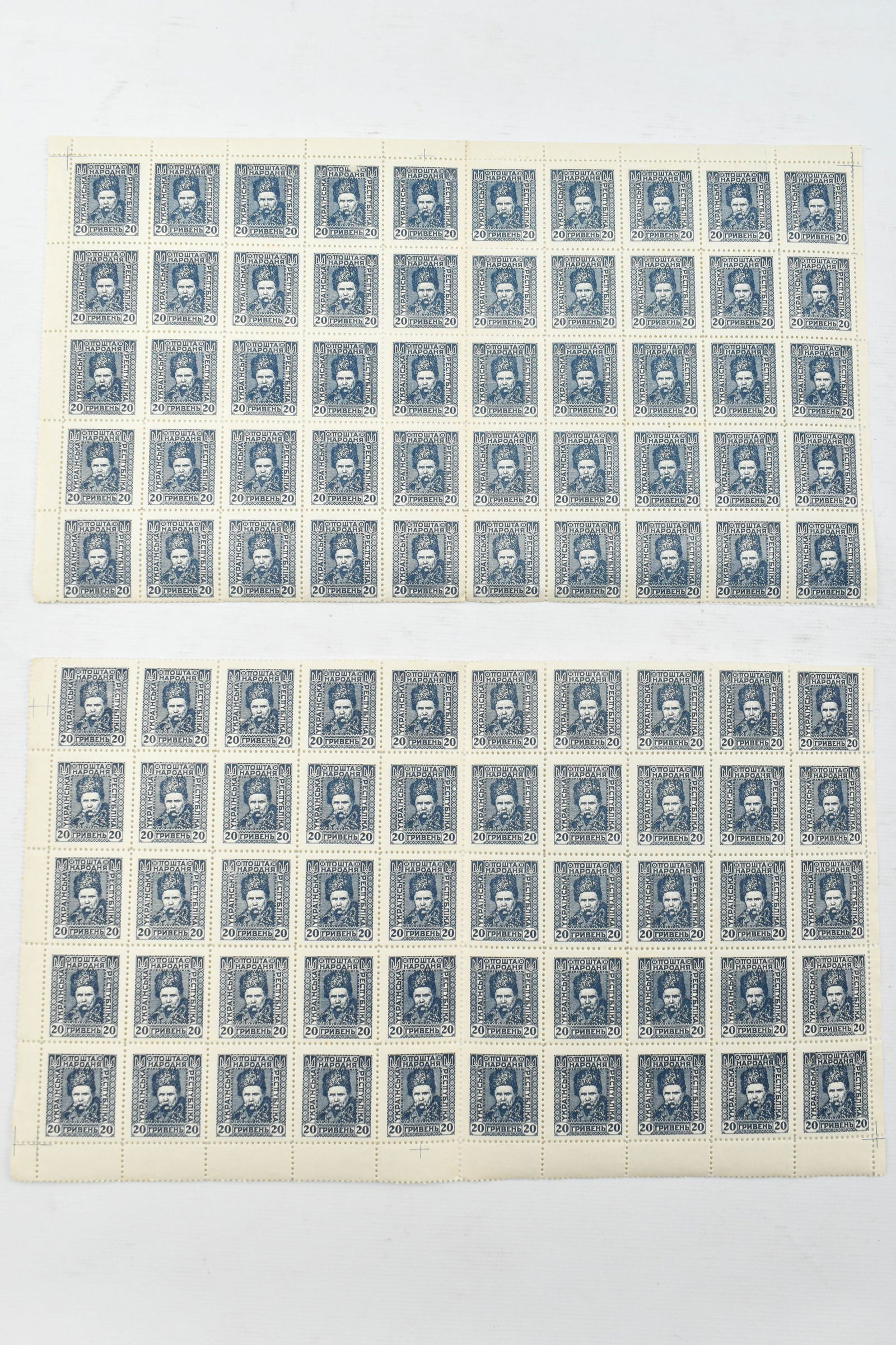 1920 Ukraine 20G Blue Stamp Sheet, Split: Lot includes a sheet of 10 stamps by 10 stamps, split in two across the horizontal center line. Sheet has been folded/hinged on vertical center lines as well. All stamps sold as is.