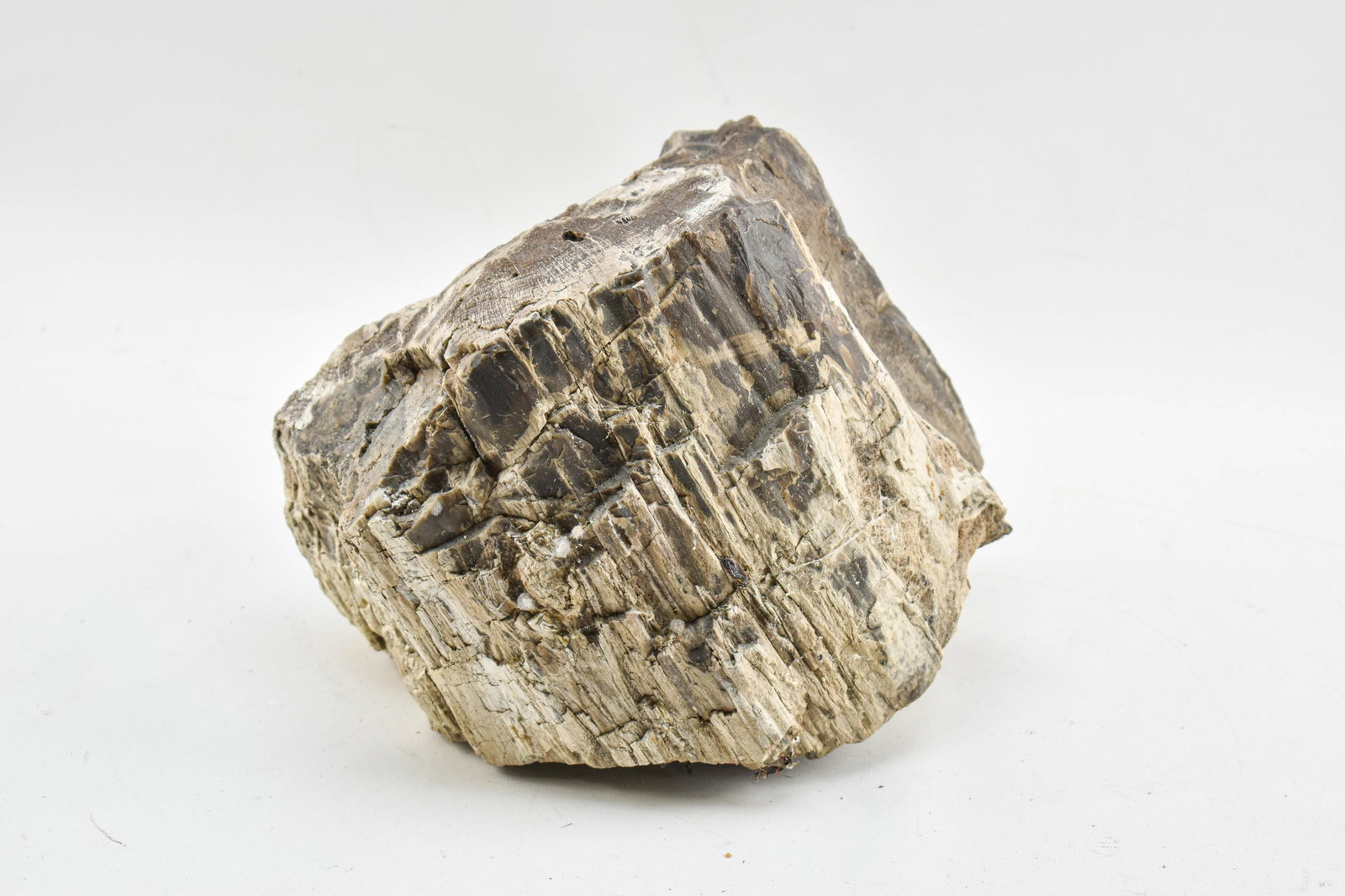 Large Petrified Wood Fragment: Large and heavy petrified wood fragment in natural wood tones, functional as decor, doorstop, etc. 6.75 x 9.5 x 7