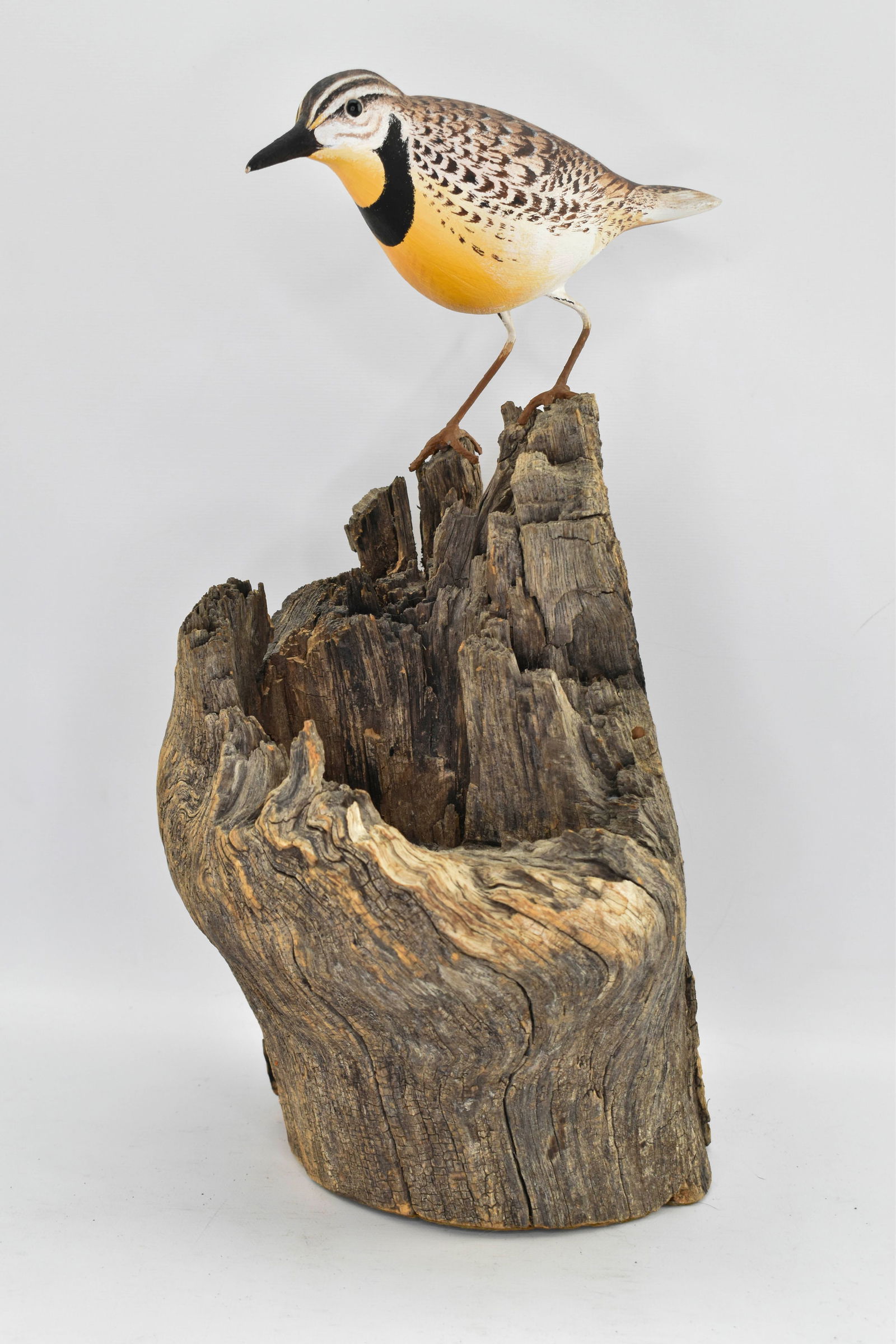 Signed Wooden Bird Carving on Driftwood (1 of 12)