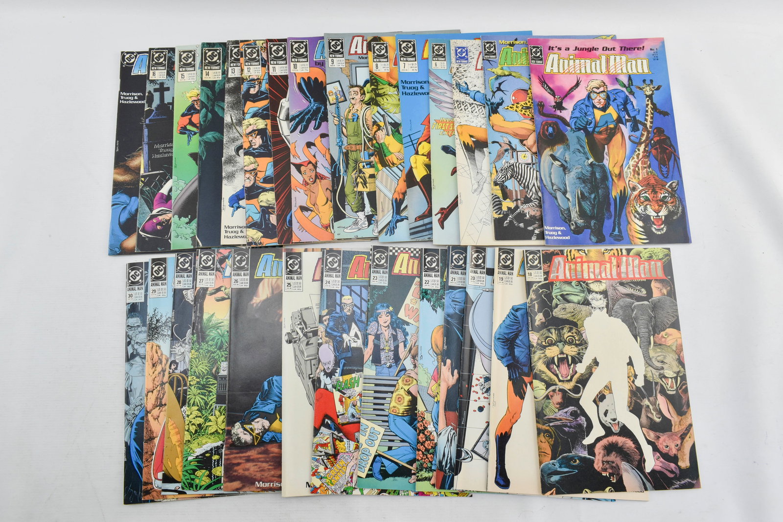 Grp 28 DC Comics Animal Man - Copper Age (1 of 9)