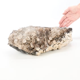 Large Smokey Quartz Specimen