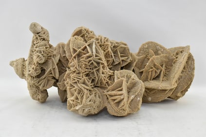 Large Desert Rose Selenite Formation