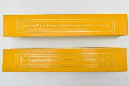 2 Volumes Tibetan Buddhist Sadhanas