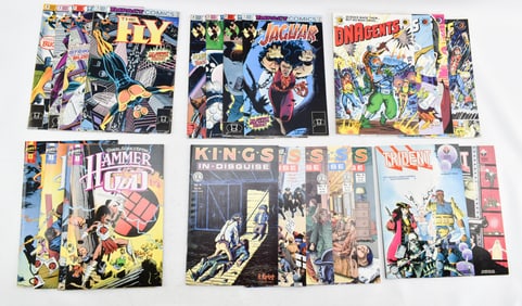 Grp 23 Bronze & Copper Age Indie Comics incl. The Fly, Hammer of God, Jaguar, Kings in Disguise,