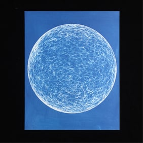 Michael DeLucia "blue print" 2013